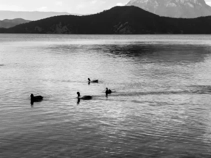 Casino Midas Aip Soghluaiste